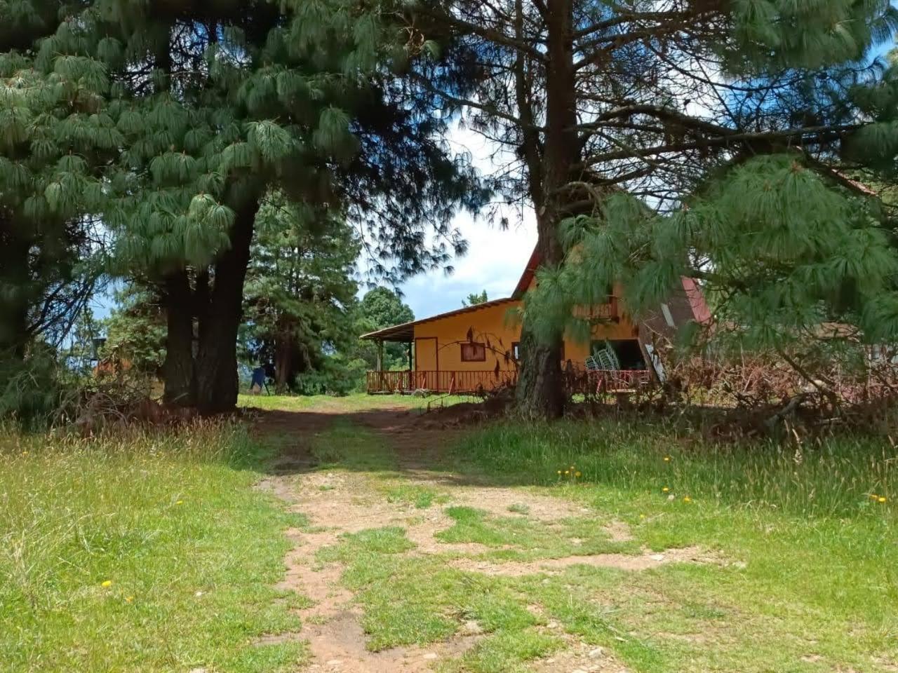 Chalets Amarelo Suesca Exterior photo